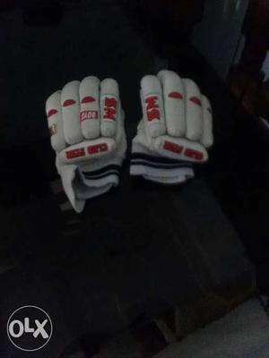 Cricket kit all accessories Bat ball gloves pad