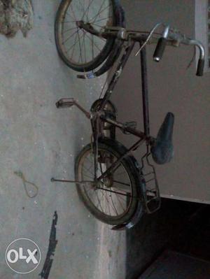 Cycle in perfect condition