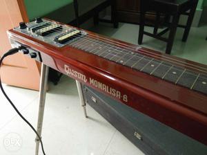 Electric Guitar with sound box.