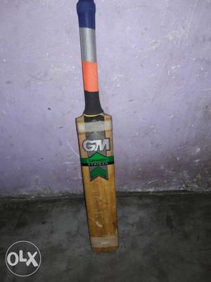 GM top quality English willow bat for you