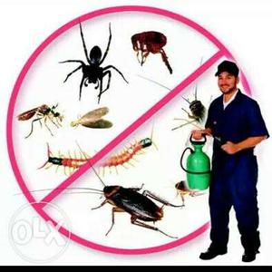 We provide pest control service in homes,offices