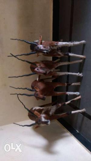 Four Deer Figurines