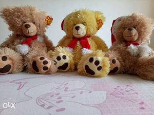 Posh paws Teddy Bears brand new for sale