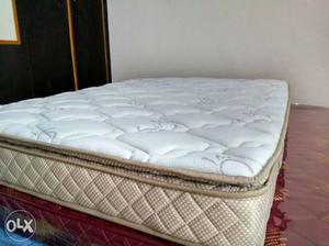 Queen size pocket spring bed with 5 years