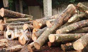 Wood for sale. Aanjili 80 inch at piravom ernklm.