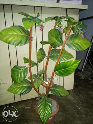 Artificial plant