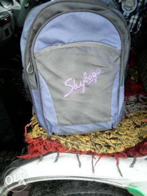 Gray And Blue Shybags Backpack