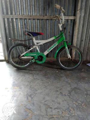 Green And White Chase Bicycle