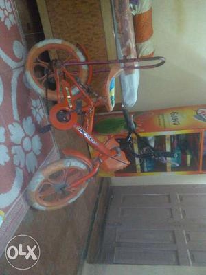 Toddler's Orange Bicycle