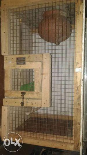 Breeding cage for low price