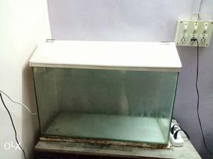 Fish Tank of 2.5 feet