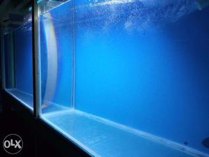 Marine Aquarium Quarantine Tank With Stand In Chennai