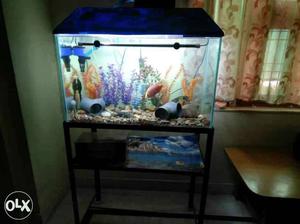 Only Aquarium and cover