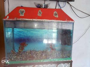 Red Frame Aquarium Tank