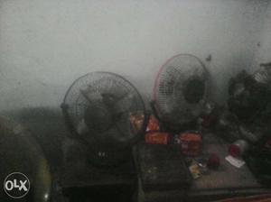 Two table fan for sell in good running conditions