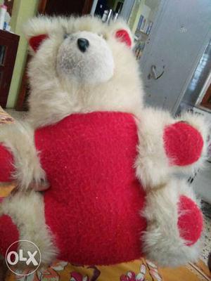 White And Red Teddy Bear