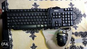 Original DELL keyboard and mouse (USB port connection)