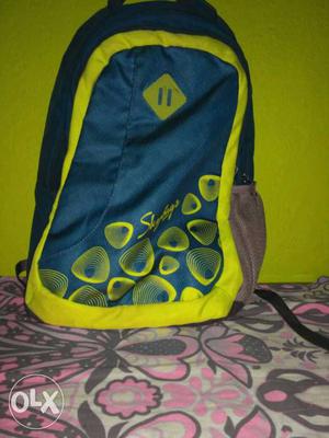 Blue, Green, And Black Brown Skybags Backpack