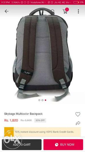 Gray And Brown Skybags Multicolor Backpack