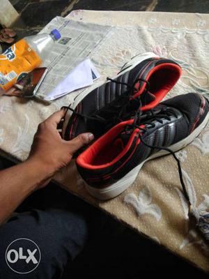 Adidas original shoes in fresh condition size 9
