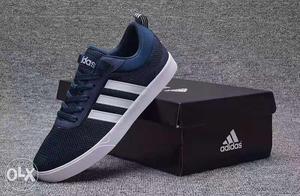 Blue And White Adidas Low Top Sneaker With Box