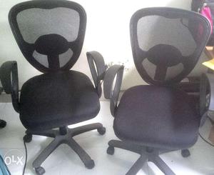 Office Chair / Chairs
