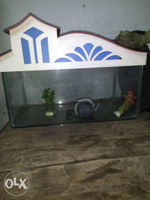 Aquarium with set and size is 1feet length half