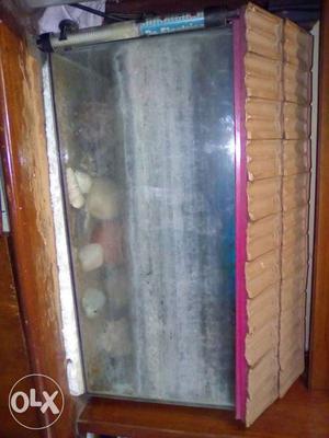 Fish tank with heater and oxygen.