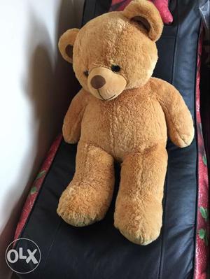 Teddy bear. very new in very neat condition. big