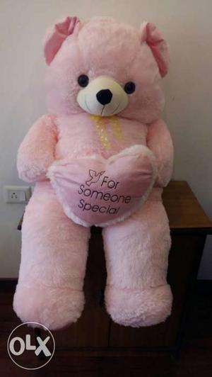 Giant size brand new never used teddy bear..