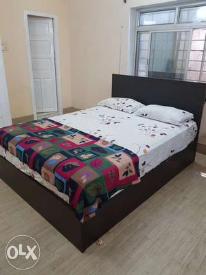 Queen size bed in Excellwnt condition!! Immediate