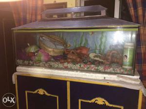 Aquarium for sale with all accessories along with