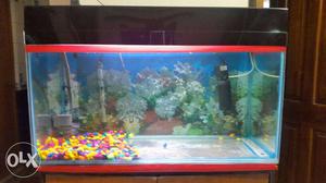 Aquarium of size  for sale with all the