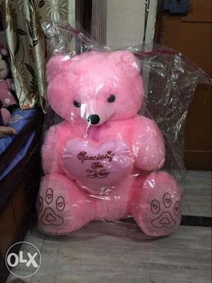 Brand new Big teddy bear not opened once