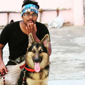 Certified dog trainer under guide of shekas dogs