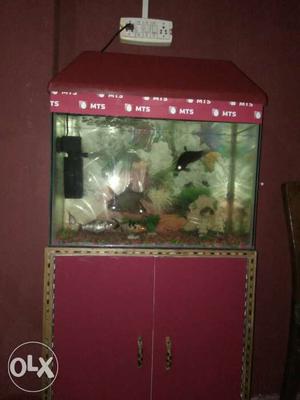 Complete aquarium with cupboard