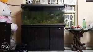 Fish tank, good condition price negotiable