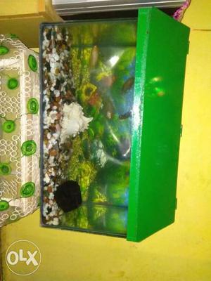 Green Metal Framed Fish Tank