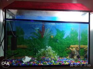 I want to sell my aquarium size-3ft×2ft×1ft.