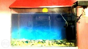 New imported aquarium  hid ful hd light 6