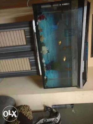 2.5 ft tank with cover light gravels and fishes