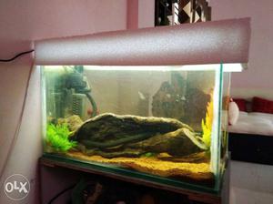 All types off aquarium available any size &