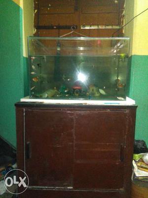 Aquarium for sale. 