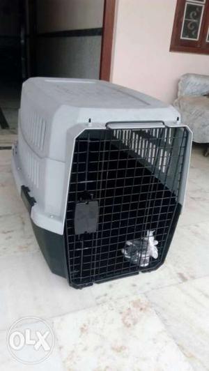Big Dog cage for relocation. Used only once to bring my