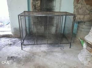 Black Steel Rectangular Pet Cage