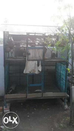 Framed cage for birds & dogs
