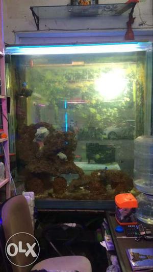 Marine tank 4ft length and 4.5 ft height for sale