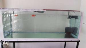 Toughened 4 feet fish tank with sebo power head,