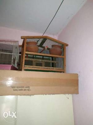 Used Birds cage