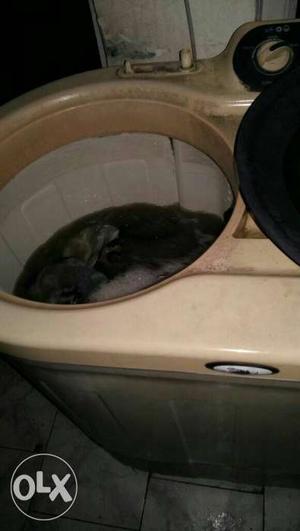 Beige And Gray Twin-tub Washing Machine